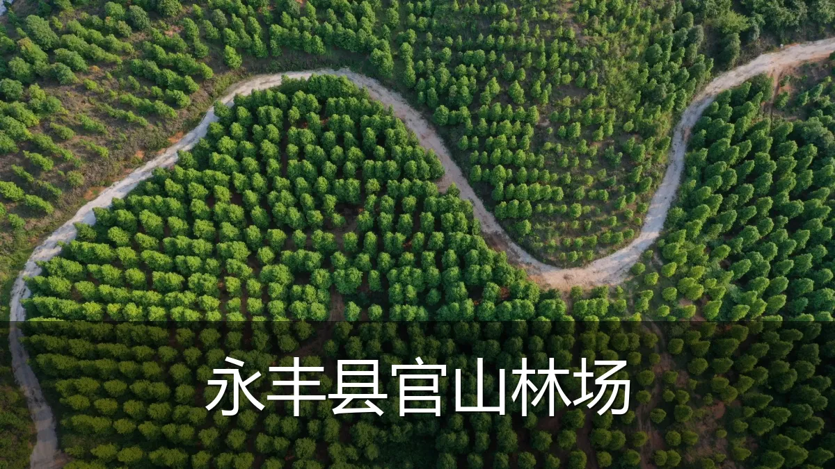 永丰县官山林场