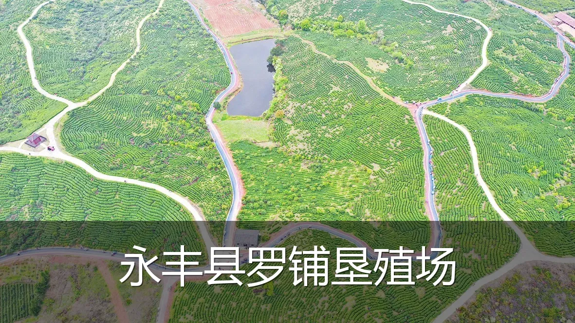 永丰县罗铺垦殖场