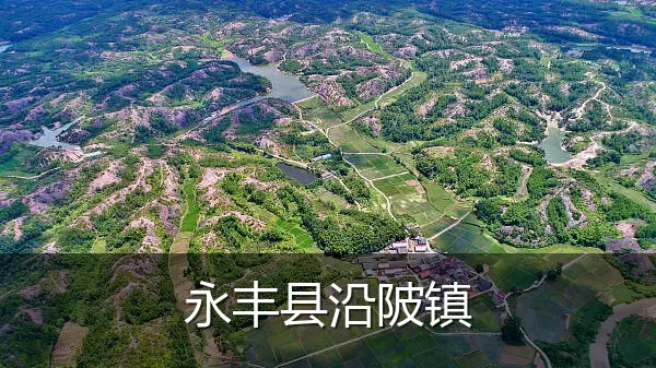 永丰县沿陂镇